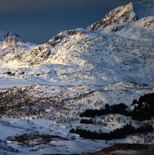 下载粉象app下载