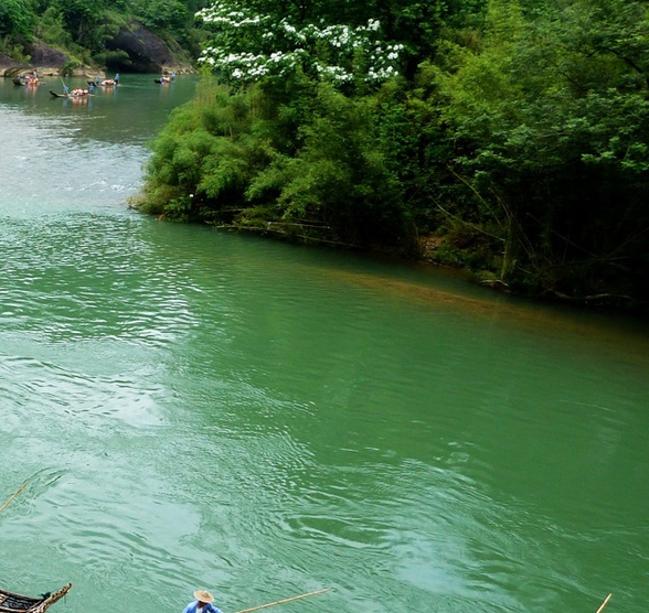 粉象生活神器介绍