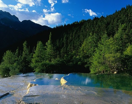 粉象生活怎么领