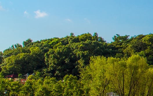 粉象生活上市后多久有收益