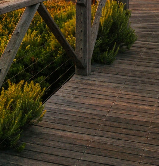 粉象生活的专属粉丝有什么用