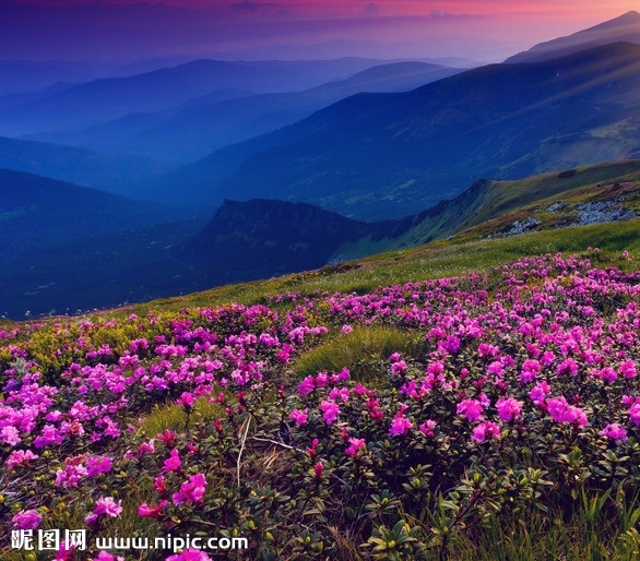 粉象生活怎么推广引流加粉丝