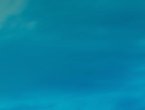 粉象生活是东西好不好