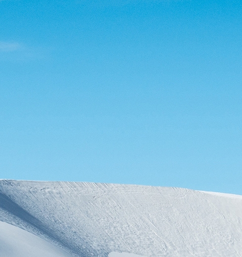 粉象生活是怎么运作