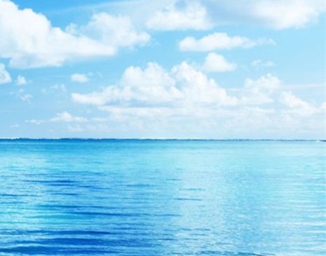 种草生活和粉象生活