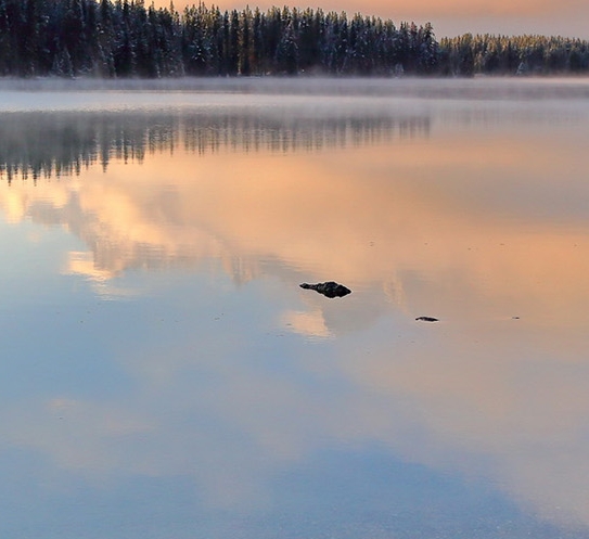 粉象生活真的能够赚钱吗