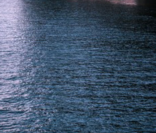 粉象生活是什么?