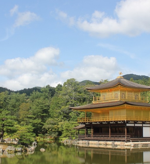 粉象生活怎么赚钱