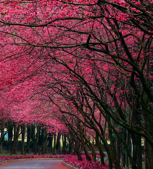 粉象生活做兼职可靠吗