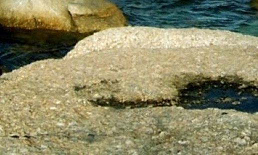 粉象生活推广一个人赚多少钱