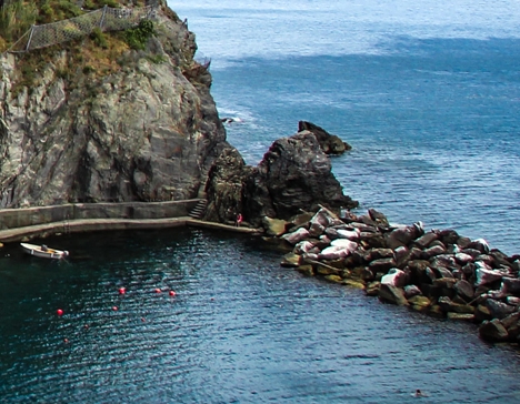 粉象生活粉丝怎么增加