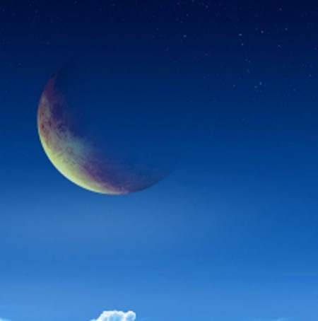 粉象生活开通VIP有什么好处