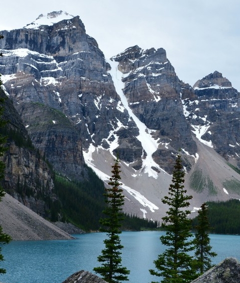 粉象生活的实际佣金