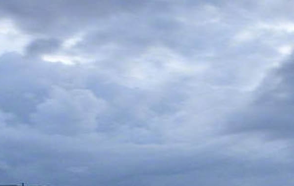 轻资产粉象生活