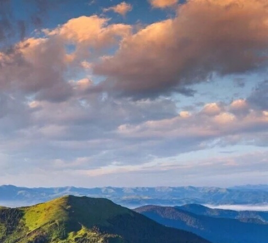 粉象生活赚钱教程