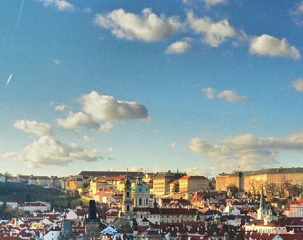 酒泉粉象生活代理