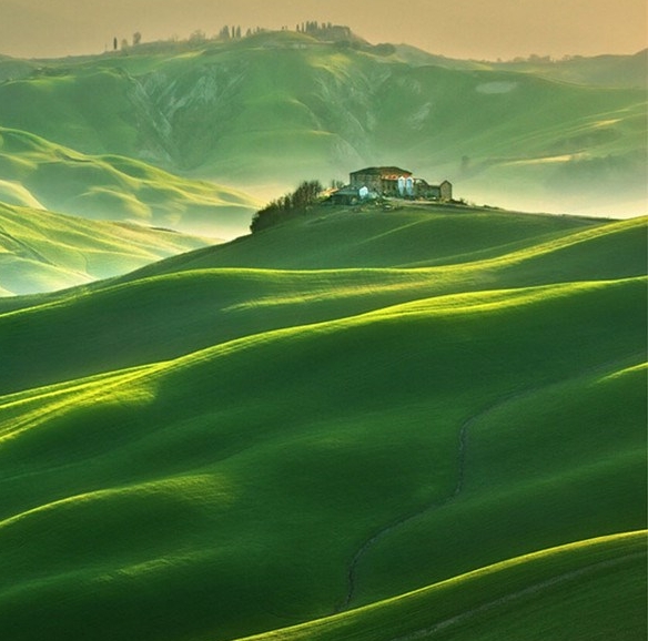 粉象生活公司还在正常运转吗