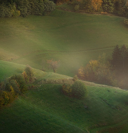 谁给粉象生活的会员出的佣金