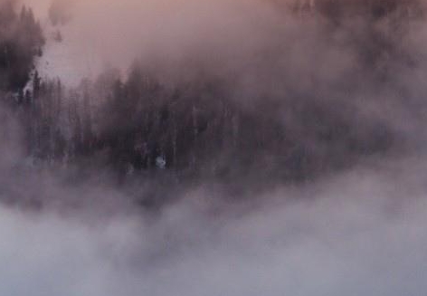 粉象生活加油怎么操作