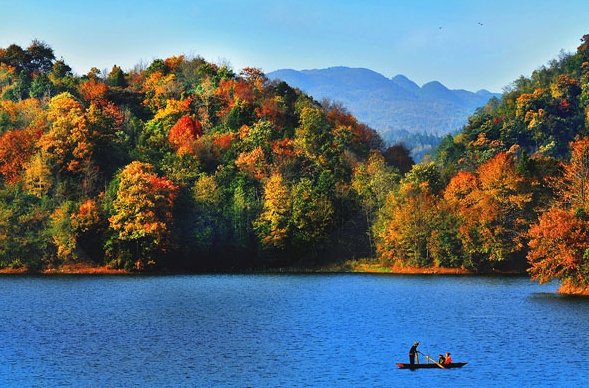 粉象生活开通会员有什么用
