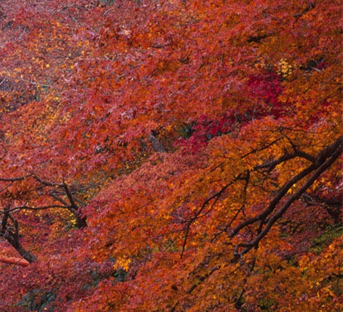 粉象生活怎么脱离邀请人关系