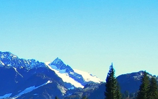 粉象生活能赚到钱吗