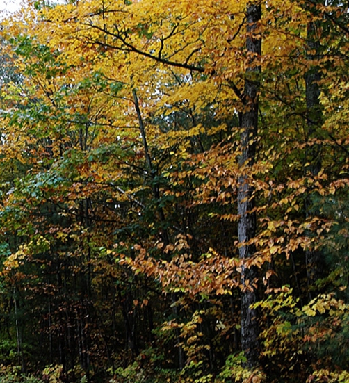 一站式粉象生活赚钱么