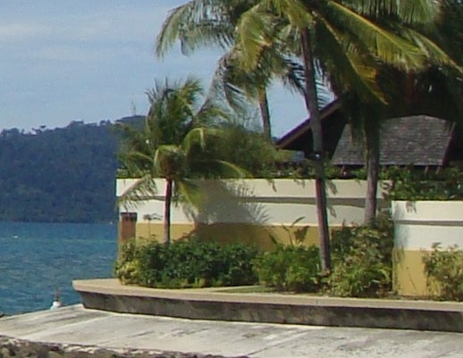 粉象生活新手怎么做