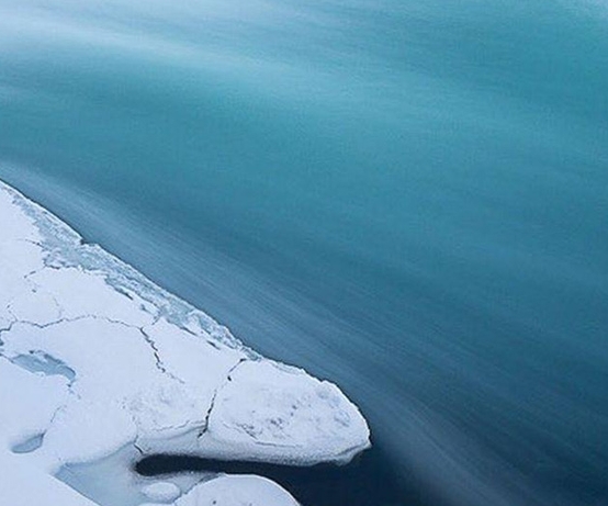 七台河粉象生活软件