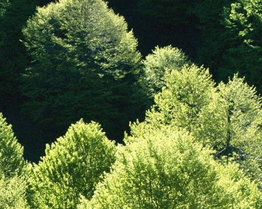 粉象生活哪个品牌最好