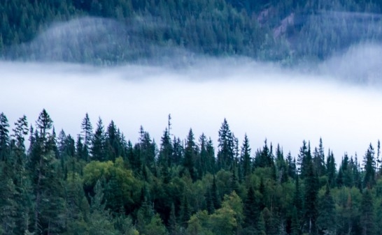 最新版粉象生活app下载安装