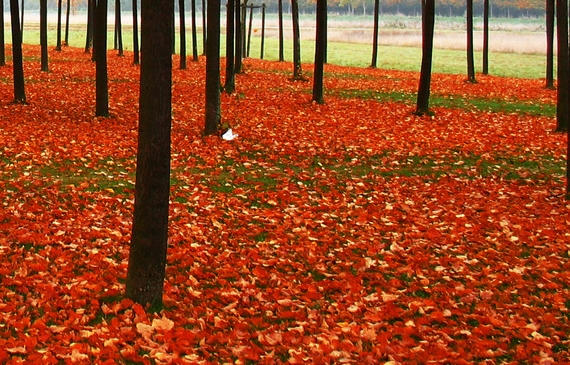粉象生活怎么删除商品