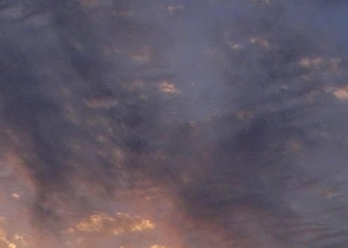 粉象生活怎么赚钱?操作一个月收入3