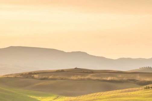 粉象生活开店日常