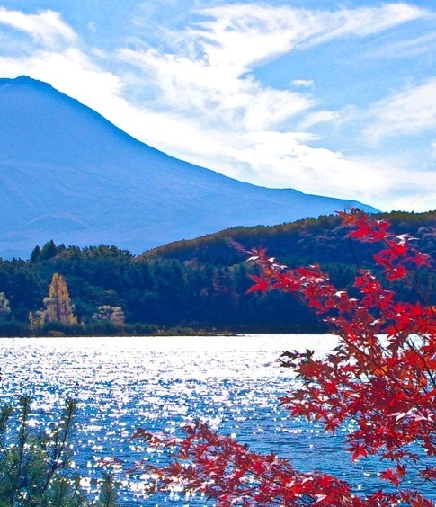 粉象生活怎么获取用户资料