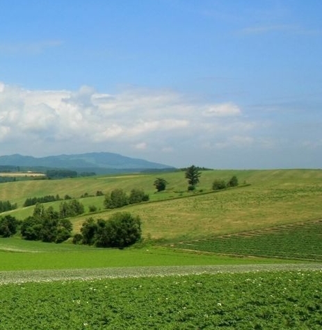 抖音如何快速推广粉象生活