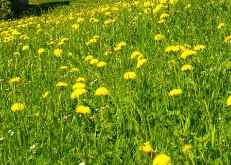 粉象生活邀请码