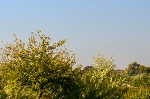 粉象生活送的卡怎么领