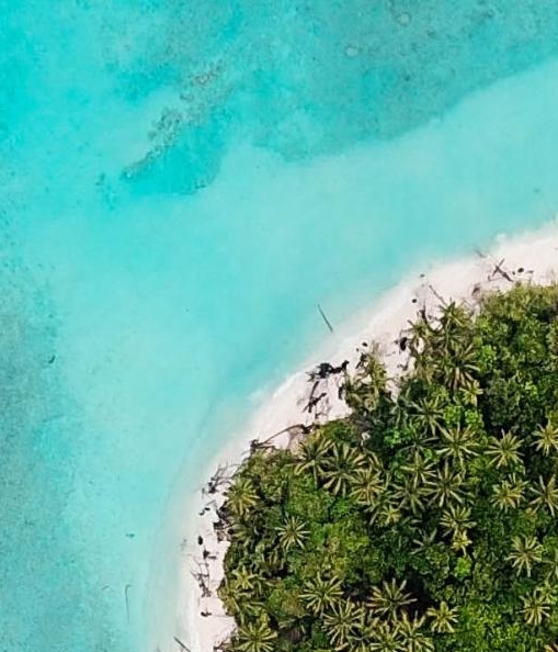 粉象生活如何发布文章