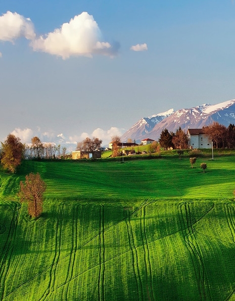 粉象生活做自媒体赚钱吗