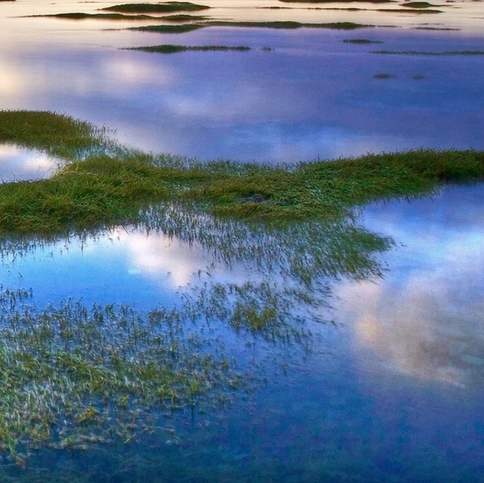 粉象生活下载app
