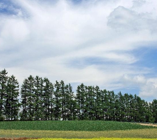 怎样申请最低生活保障金