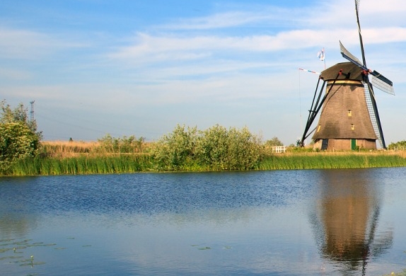 浙江口碑好的粉象生活推广