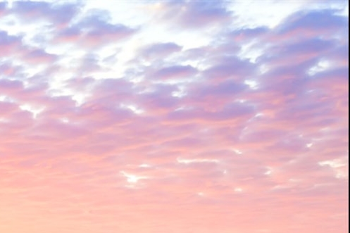 粉象生活卖家版