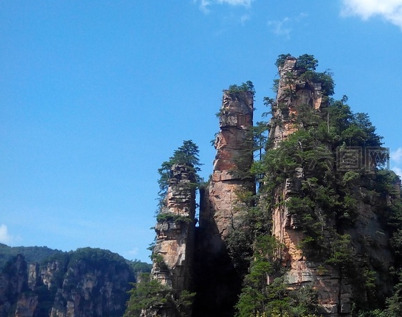 淘乐惠与粉象生活