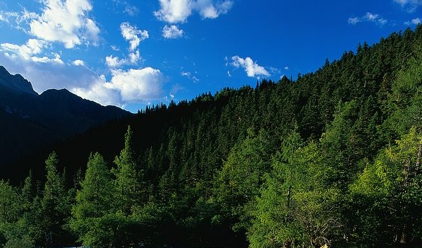 粉象生活加油怎么样