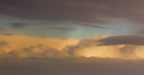 粉象生活的管道