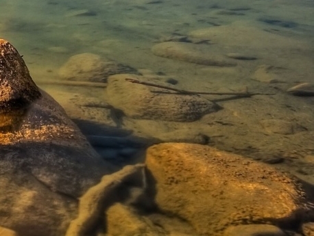 粉象生活 干什么的