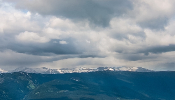 粉象生活订单退款