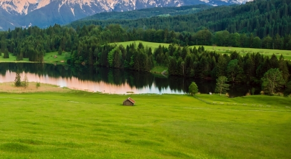 粉象生活中怎么改字体